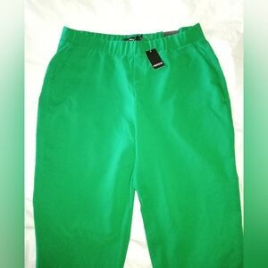 NWT* Torrid Chino Pants